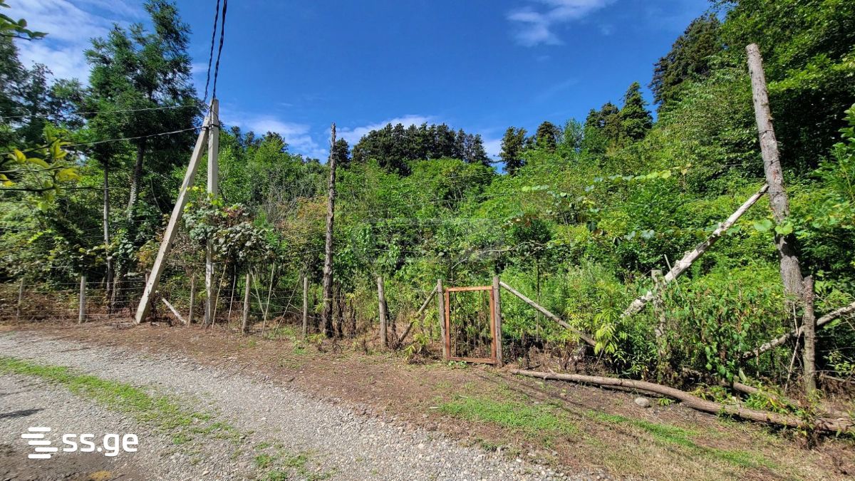 Land For Sale. Ozurgeti view 1