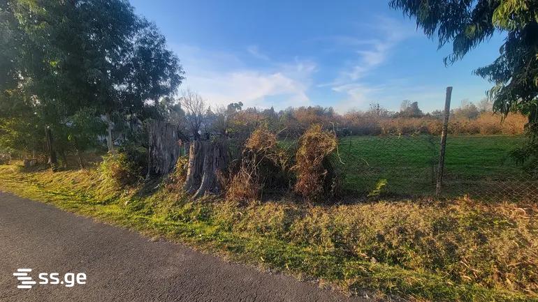 Land For Sale. Kobuleti view 4