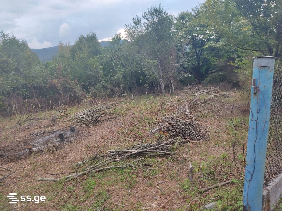 Land For Sale. Tskaltubo view 3