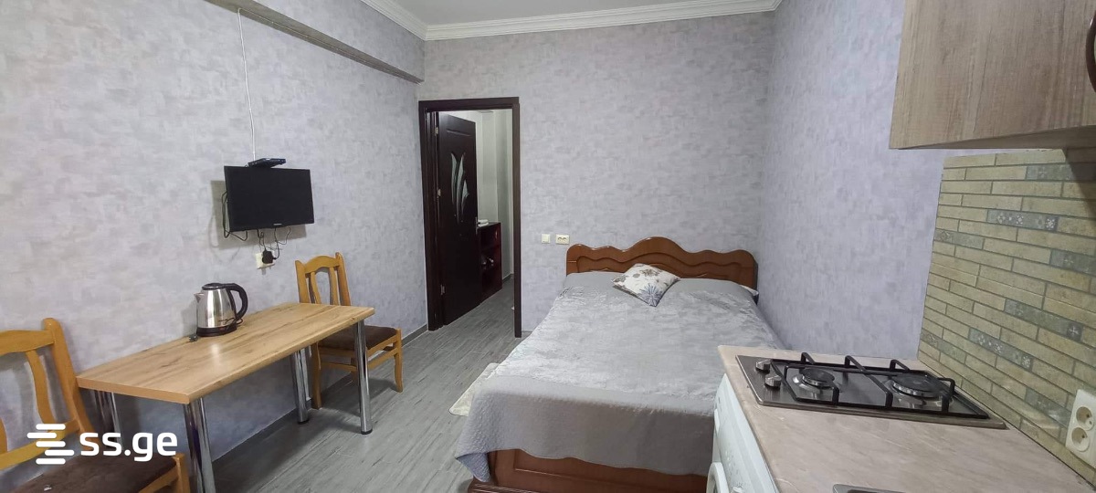 1 Room Flat Daily Rent. Borjomi view 1