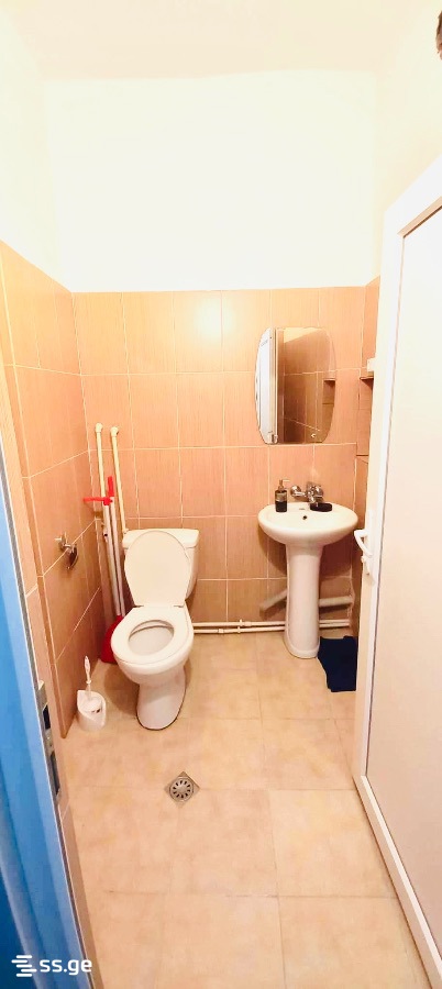 1 Room Flat Daily Rent. Borjomi view 5