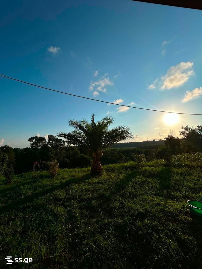 Land For Sale. Ozurgeti view 2