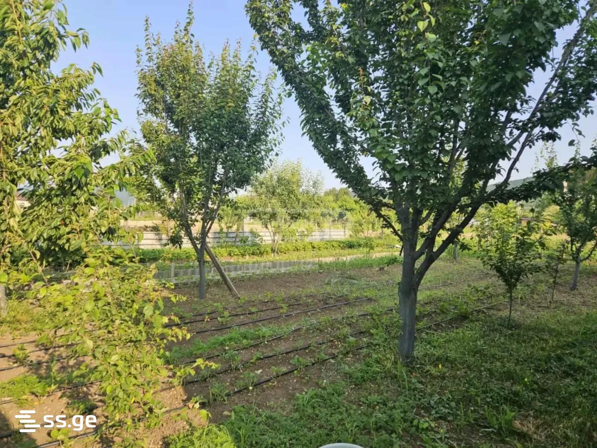Commercial Real Estate For Rent. Tserovani view 1