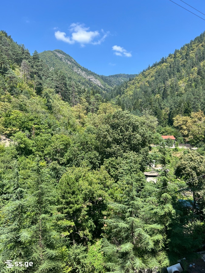 1 Room Flat Daily Rent. Borjomi view 7