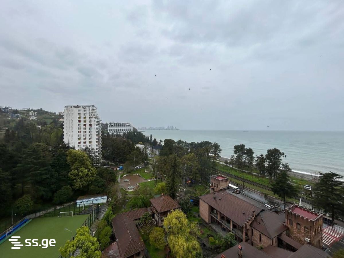 1 Room Flat For Rent. Makhindjauri view 2