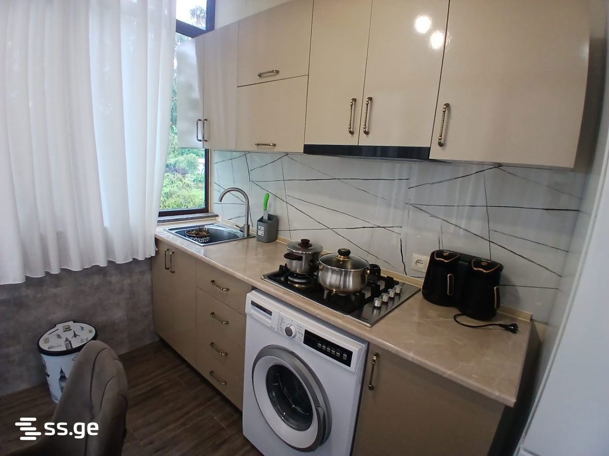 1 Room Summer Cottage For Rent. Tsikhisdziri view 2