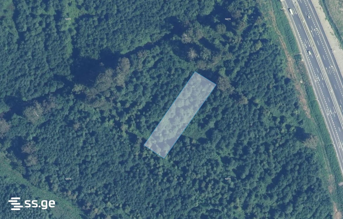 Land For Sale. Ureki view 1
