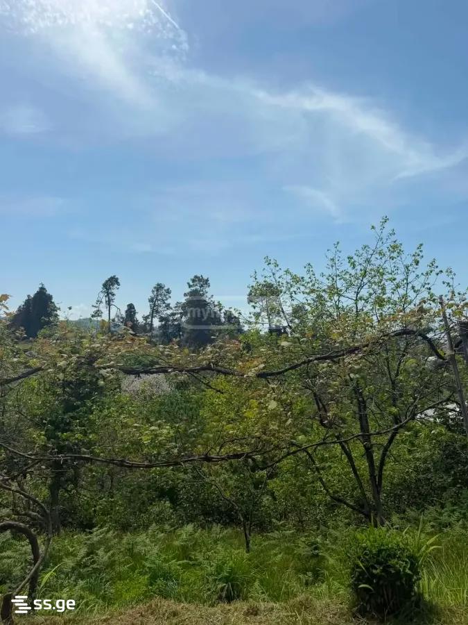 5 Room Private House For Sale view 3