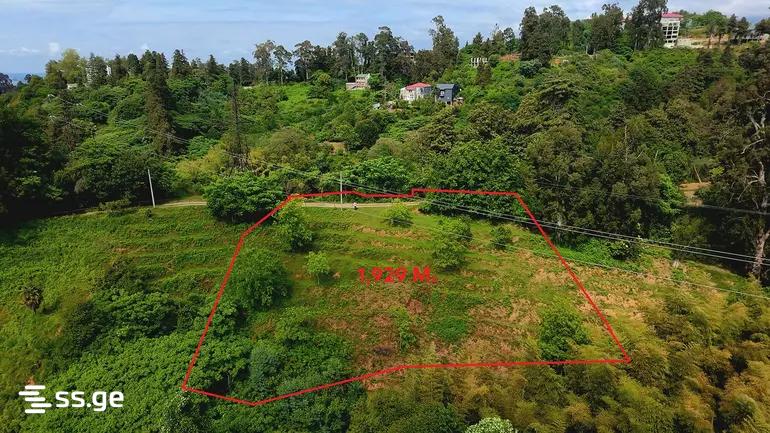 Land For Sale. Tsikhisdziri view 1