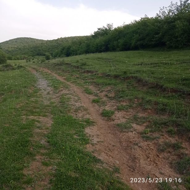 https://static.ss.ge/20261016/18_459f4dd9-ffe5-46ad-97a3-7a0863b393f0_Thumb.jpg