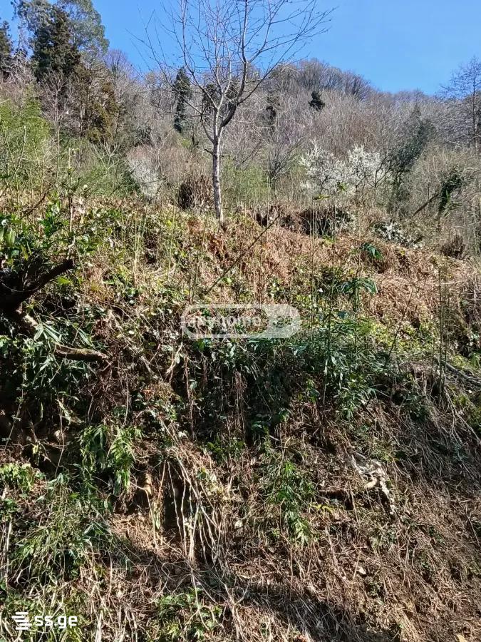 Land For Sale. Gonio view 1