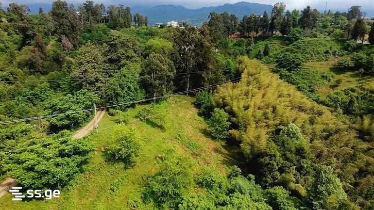 Land For Sale. Tsikhisdziri view 2