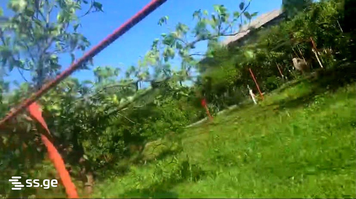 Продажа Земля в Поти view 4