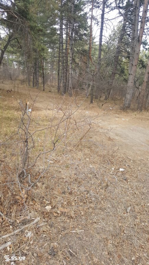 Land For Sale. Tskneti view 2