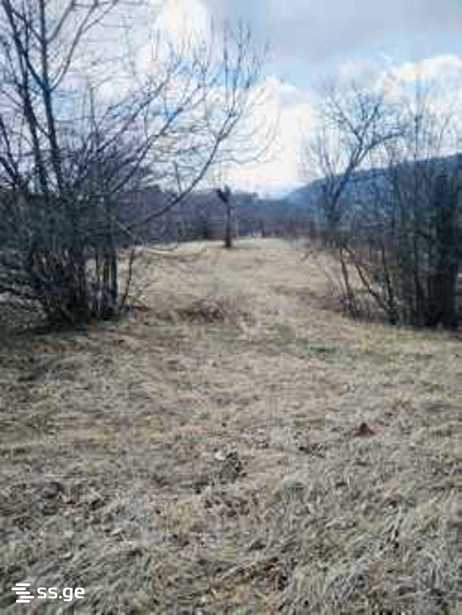 Land For Sale. Kojori view 2