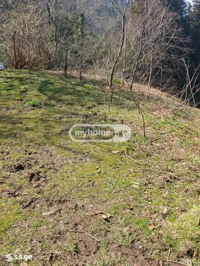 Land For Sale. Gonio view 4