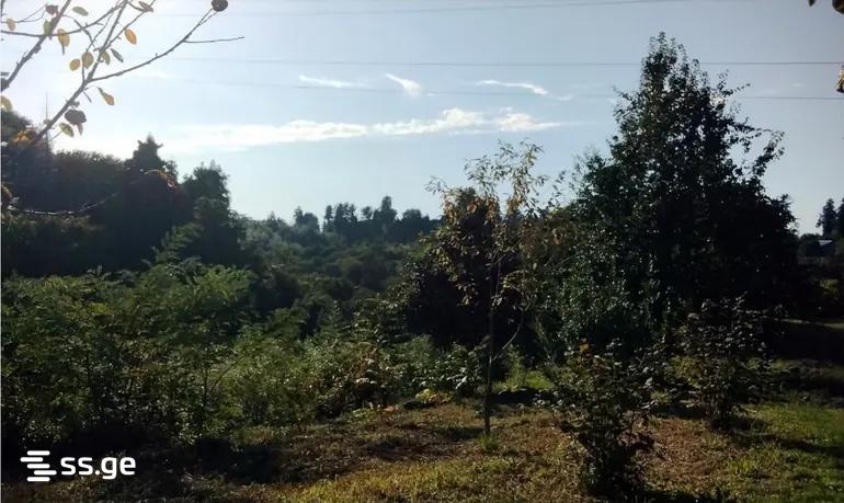 Land For Sale. Kobuleti view 3