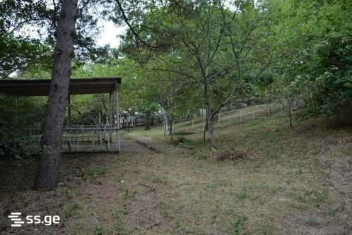 Land For Sale. Kojori view 2