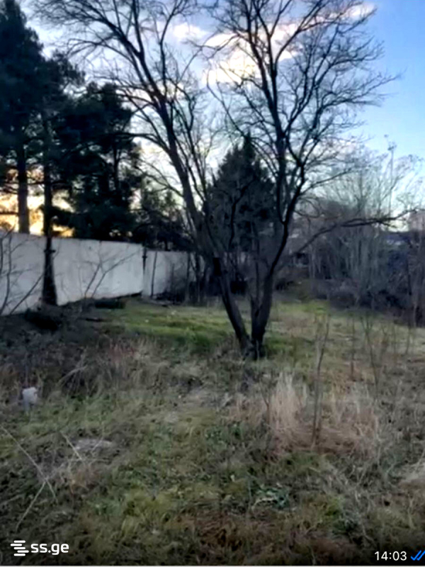 Land For Sale. Tabakhmela view 3