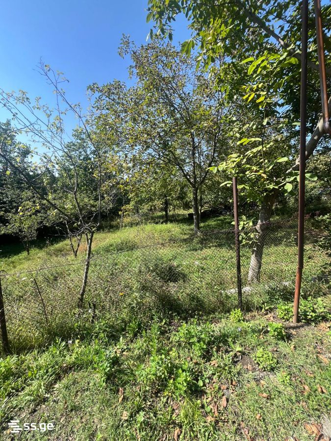 Land For Sale. Tskneti view 3