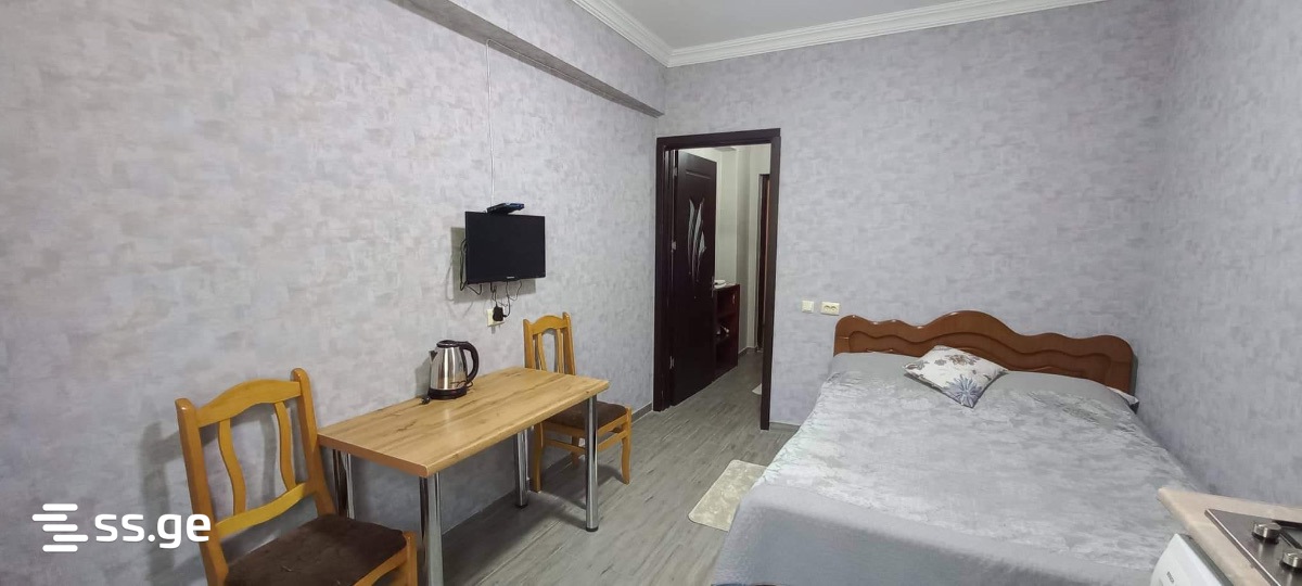 1 Room Flat Daily Rent. Borjomi view 3