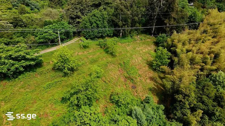 Land For Sale. Tsikhisdziri view 3