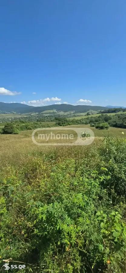 იყიდება მიწა ტიანეტიში view 2