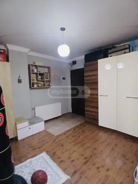 https://static.ss.ge/20261016/7_60c51401-8ea5-42e9-acda-8c0e78045069_Thumb.jpg
