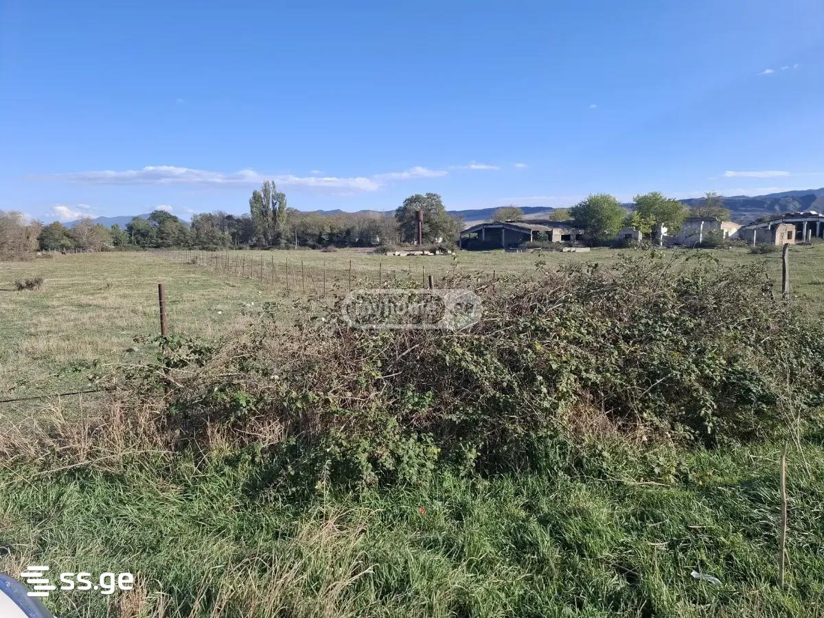Land For Sale. Mukhrani view 1