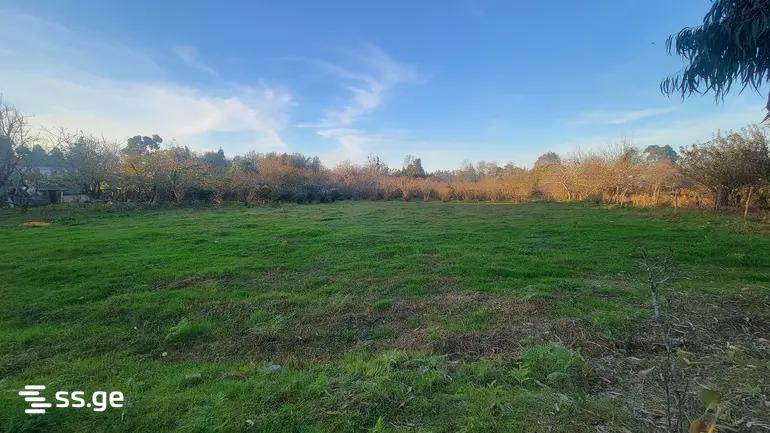 Land For Sale. Kobuleti view 2