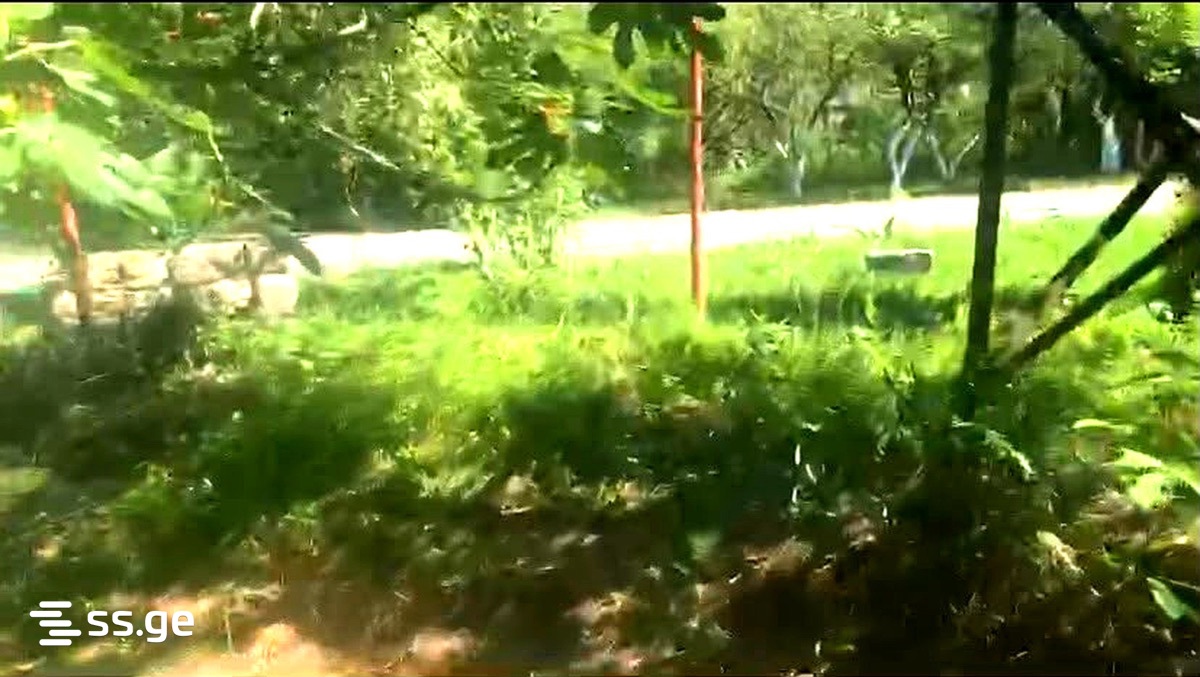 Продажа Земля в Поти view 3