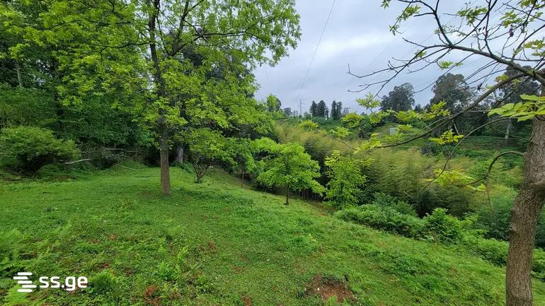 Land For Sale. Tsikhisdziri view 4