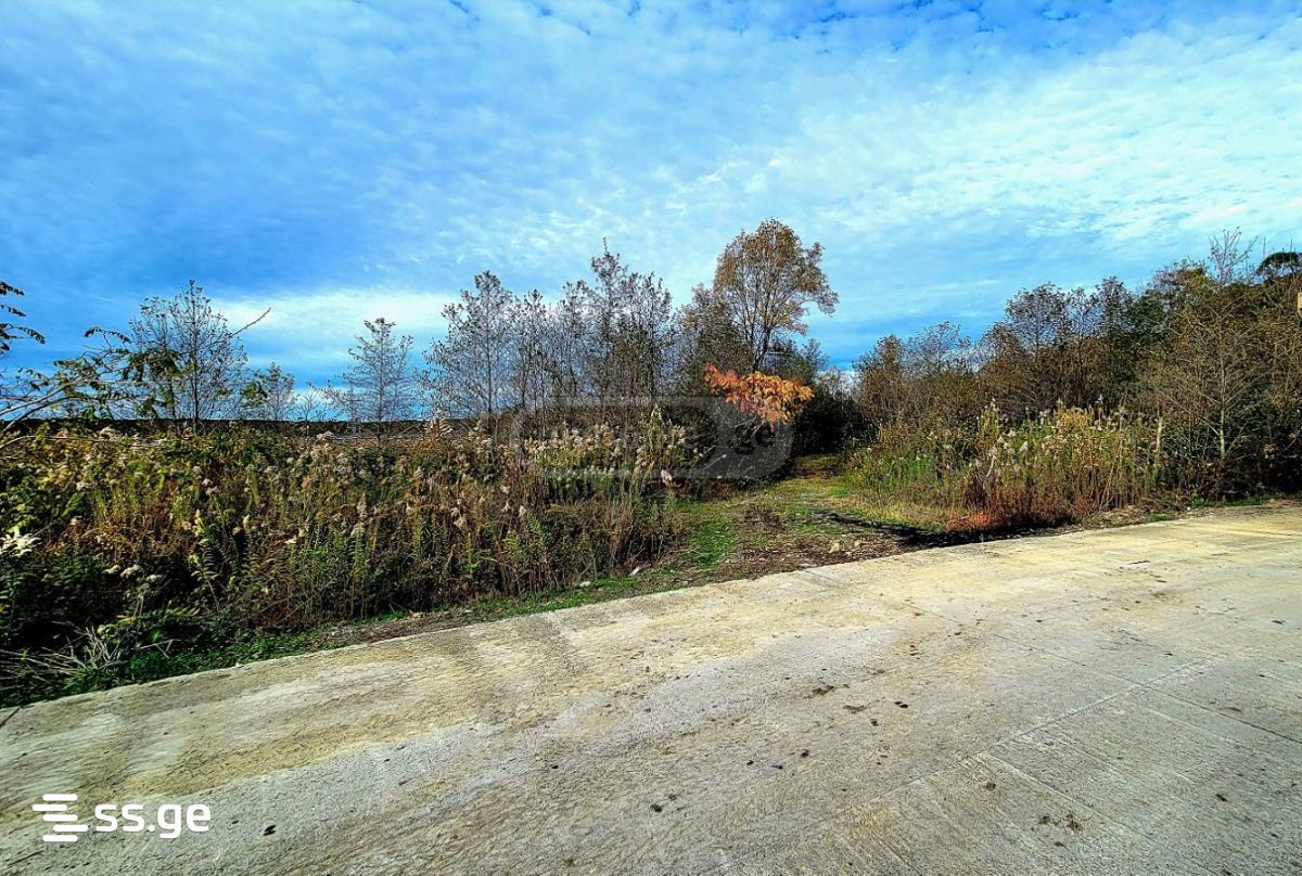 იყიდება მიწა ოზურგეტიში view 1