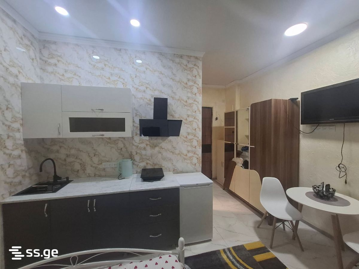 1 Room Flat For Rent. Makhindjauri view 3
