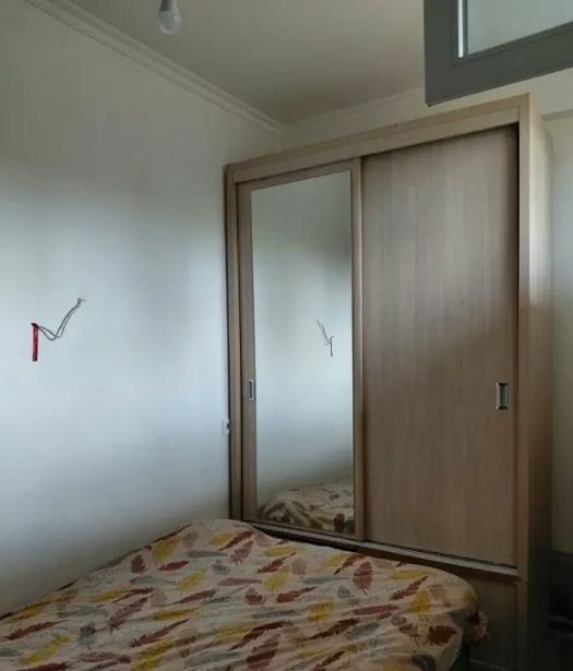 https://static.ss.ge/20261016/8_f174d61f-eae1-400f-afc6-48cabdd2271f_Thumb.jpg