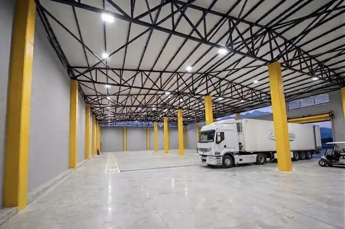 https://static.ss.ge/20261016/9_00fd7062-e3e7-4b68-b3d8-643bf483350e_Thumb.jpg
