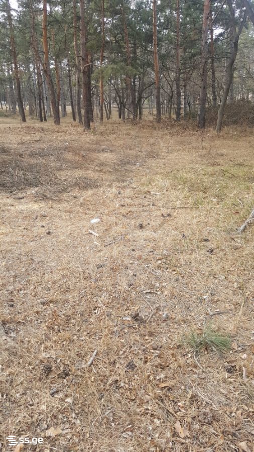 Land For Sale. Tskneti view 1