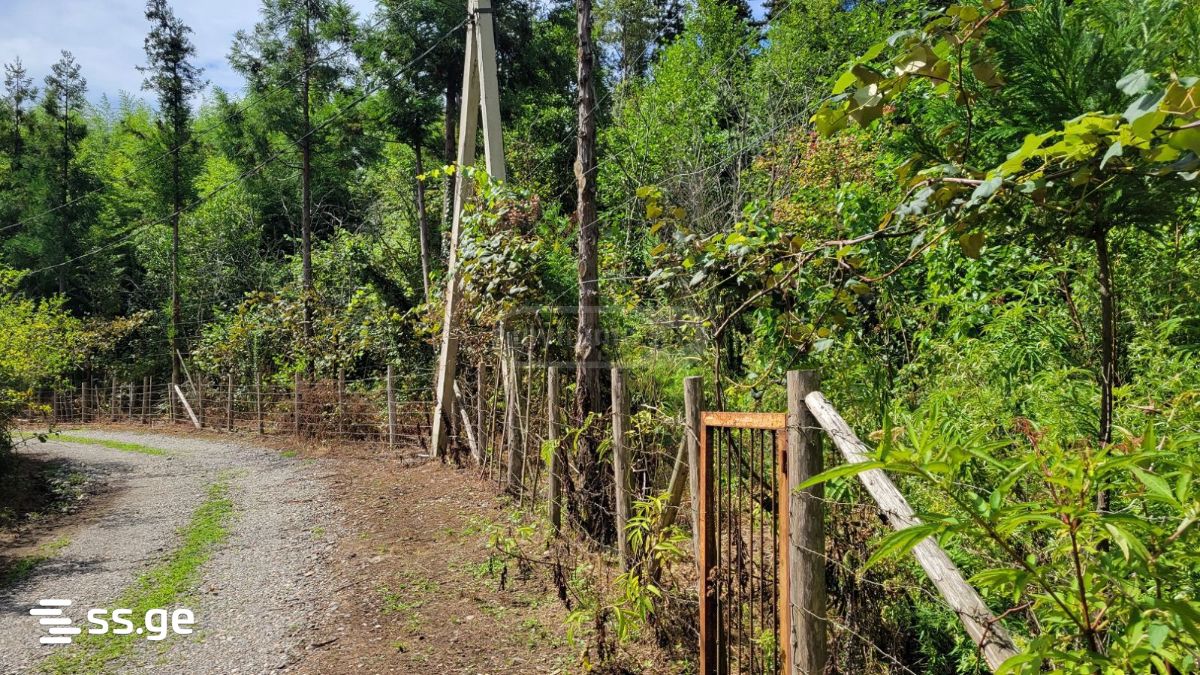 Land For Sale. Ozurgeti view 4