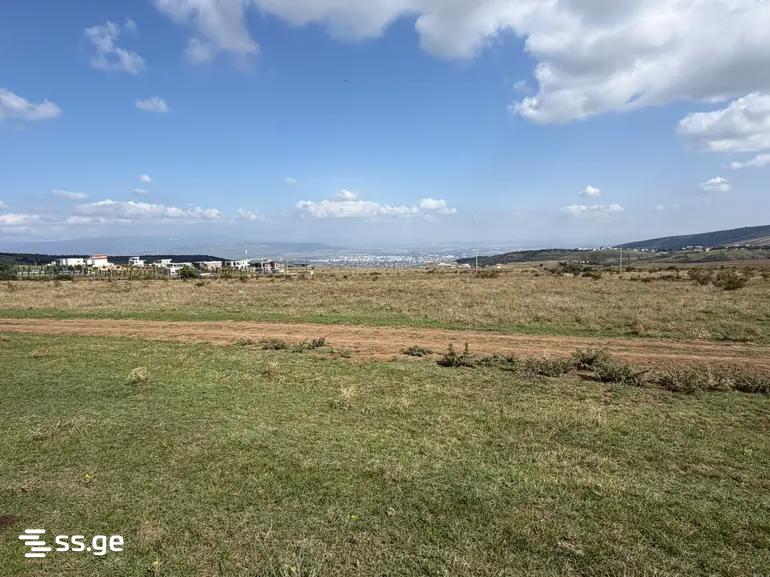 Land For Sale. Mtatsminda view 2