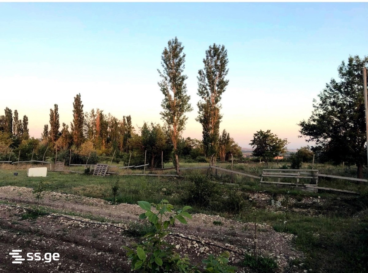 Land For Rent. Nasaguri view 4