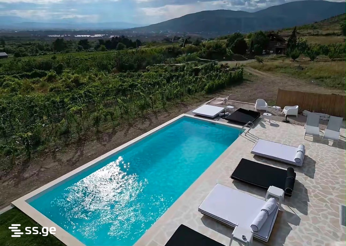 4 Room Private House Daily Rent. Saguramo view 2