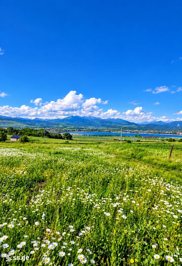 იყიდება მიწა ბაზალეტიში view 2