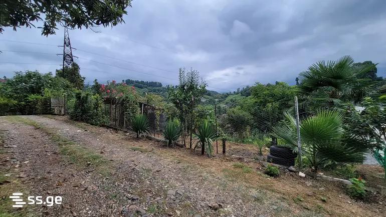 Land For Sale. Kobuleti view 4