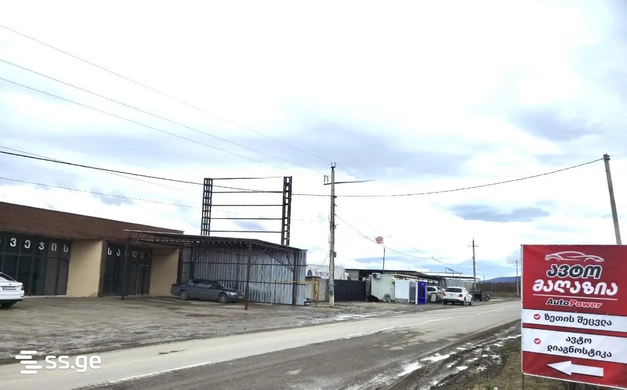 Commercial Real Estate For Rent. Tsilkani view 2