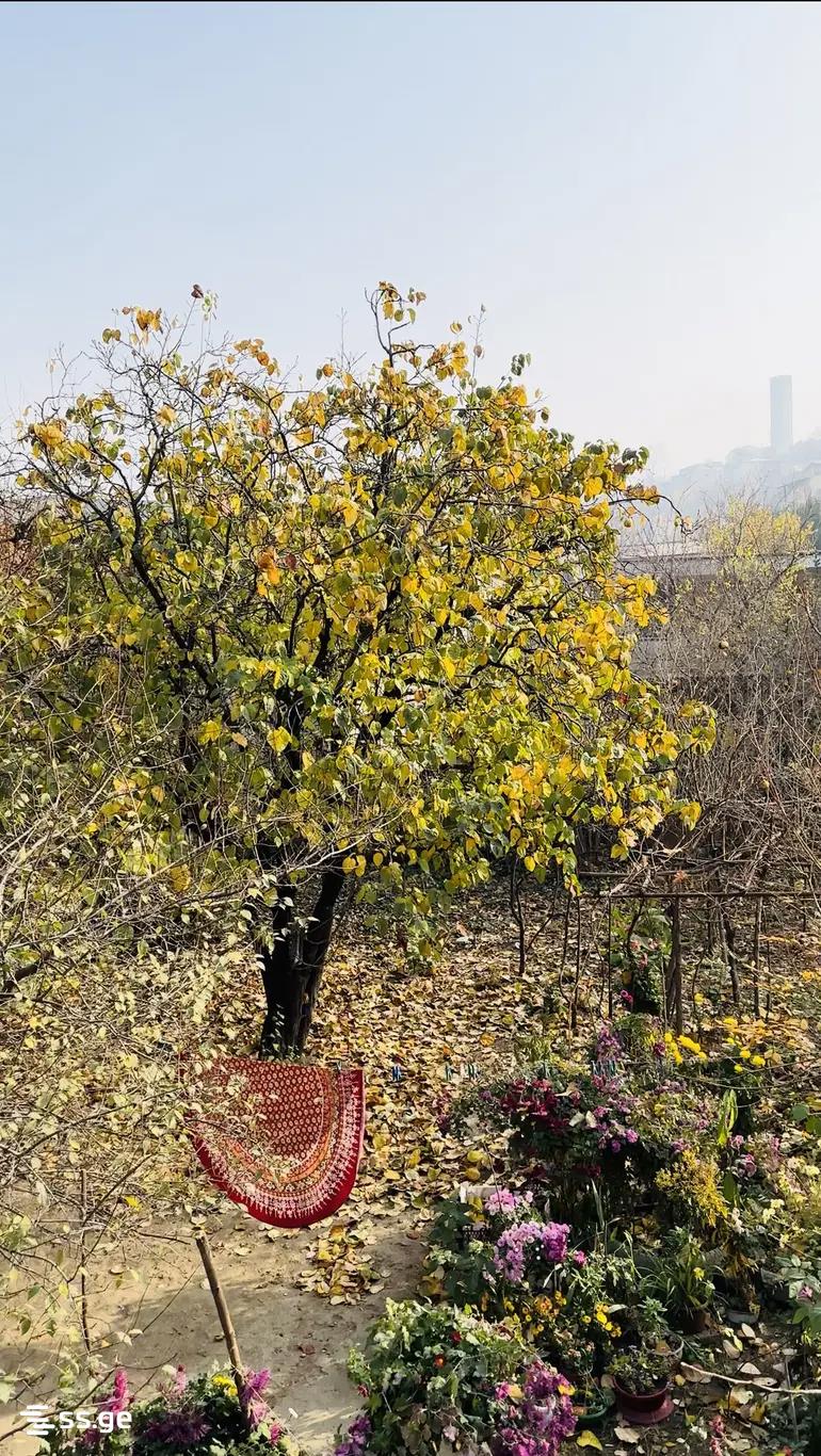Land For Sale. Nadzaladevi view 5