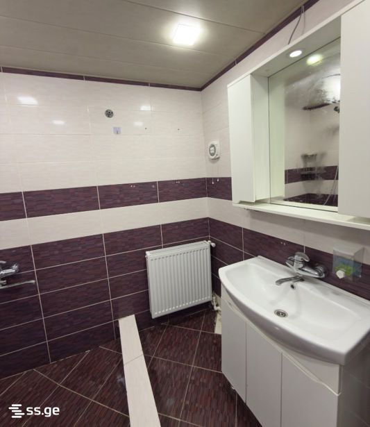 2 Room Private House For Rent. Gldani view 2