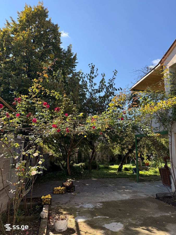 2 Room Private House For Rent. Dusheti view 14