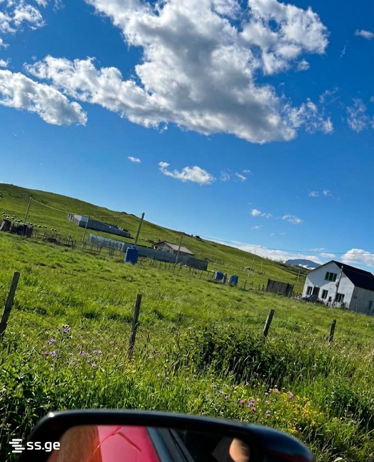 Land For Sale. Krtsanisi view 4