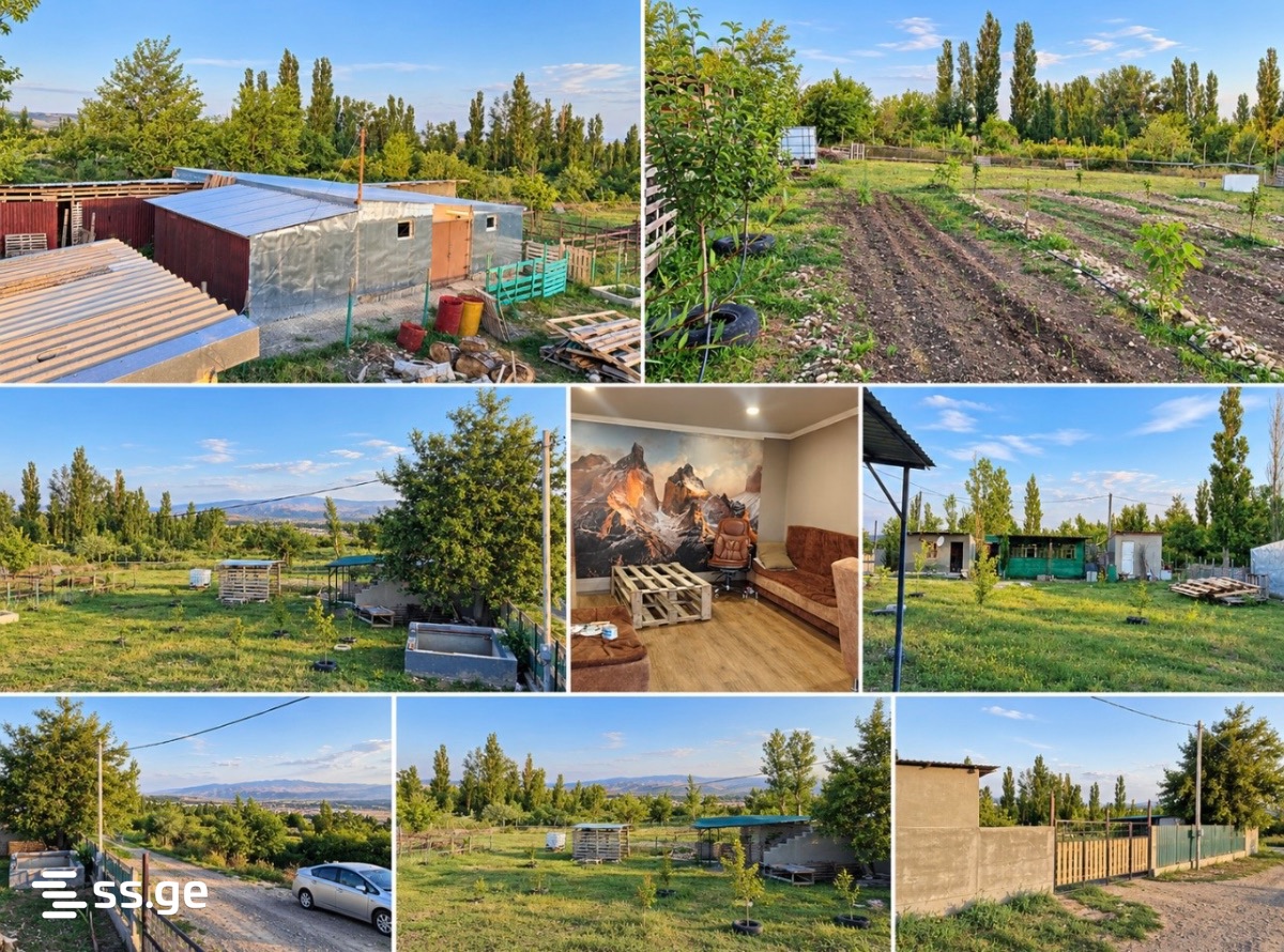 Land For Rent. Nasaguri view 2