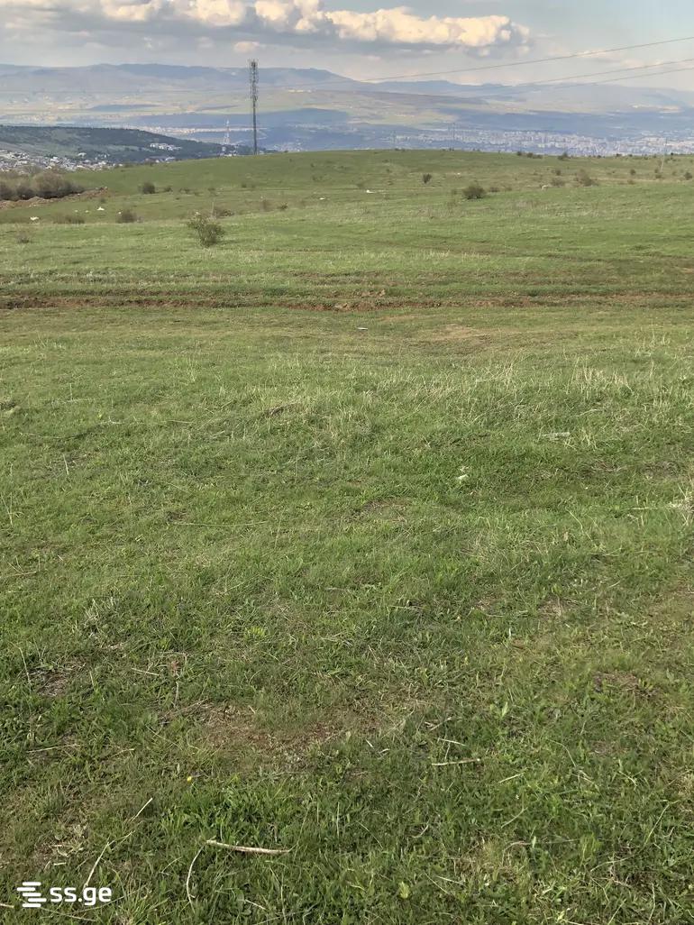 Land For Sale. Mtatsminda view 2